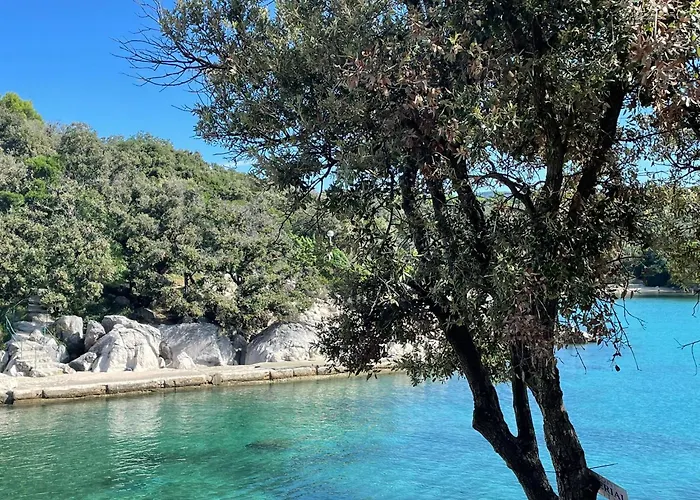 Apartament Angela Rab