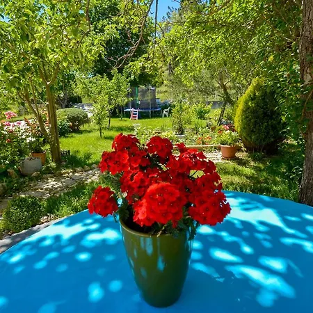 Angela Rab Apartamento *